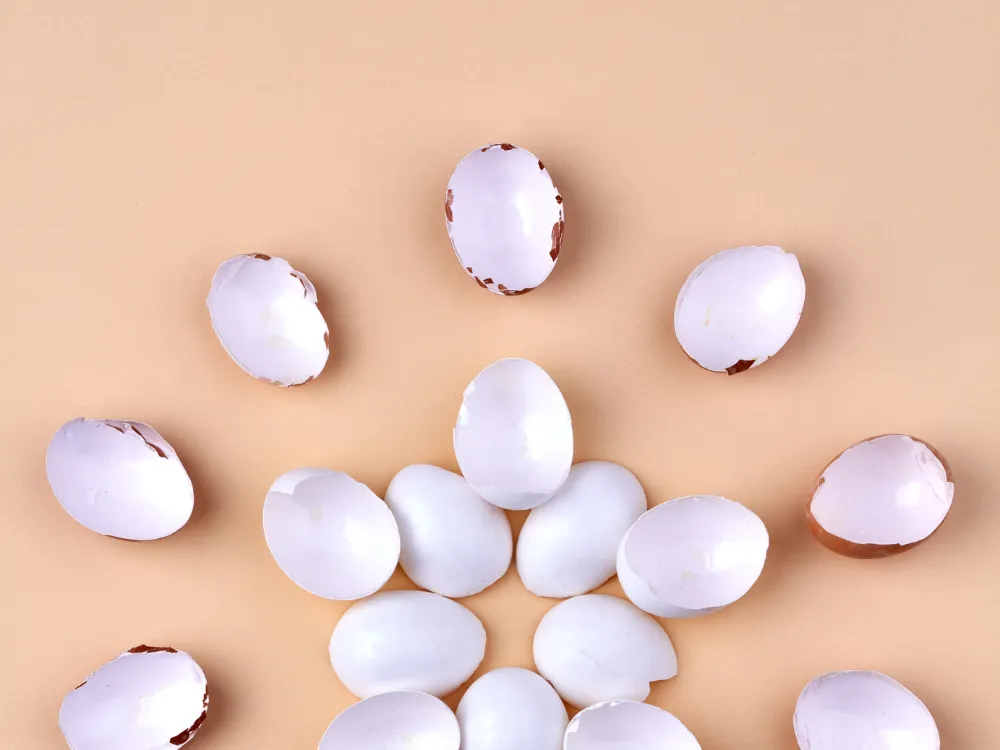 Egg Donation: Should You Choose a Clinic Program or an Agency?