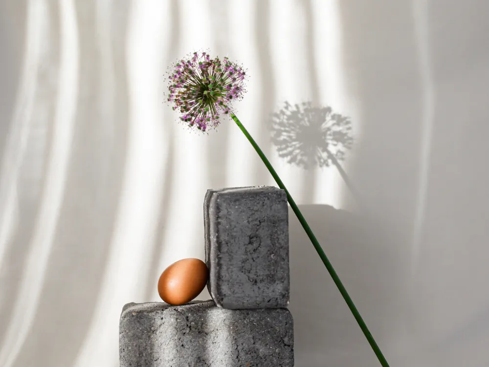 Compensation for Egg Donors: How Much Can You Make?