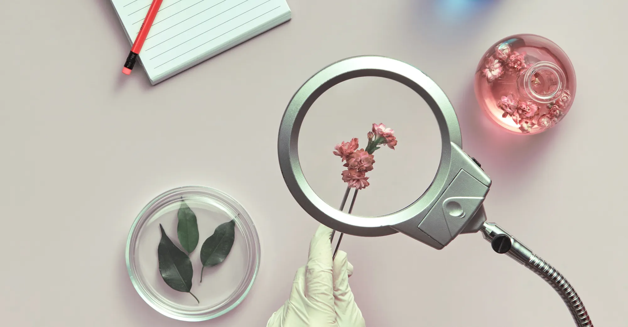 IUI or IVF: Which One Should You Choose?