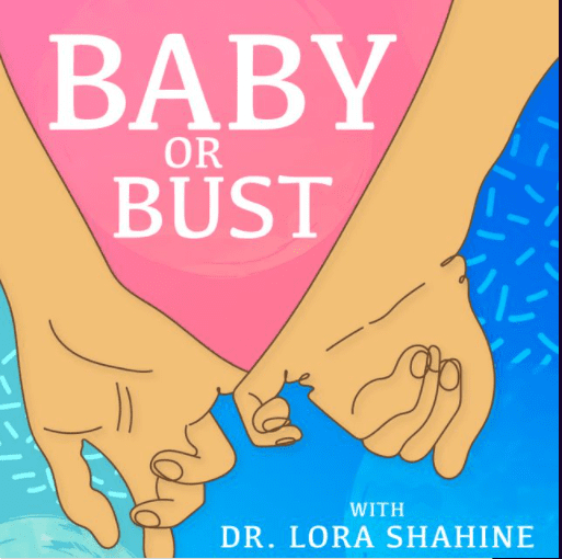 Dr. Shahine Talks About Fertility on New Podcast