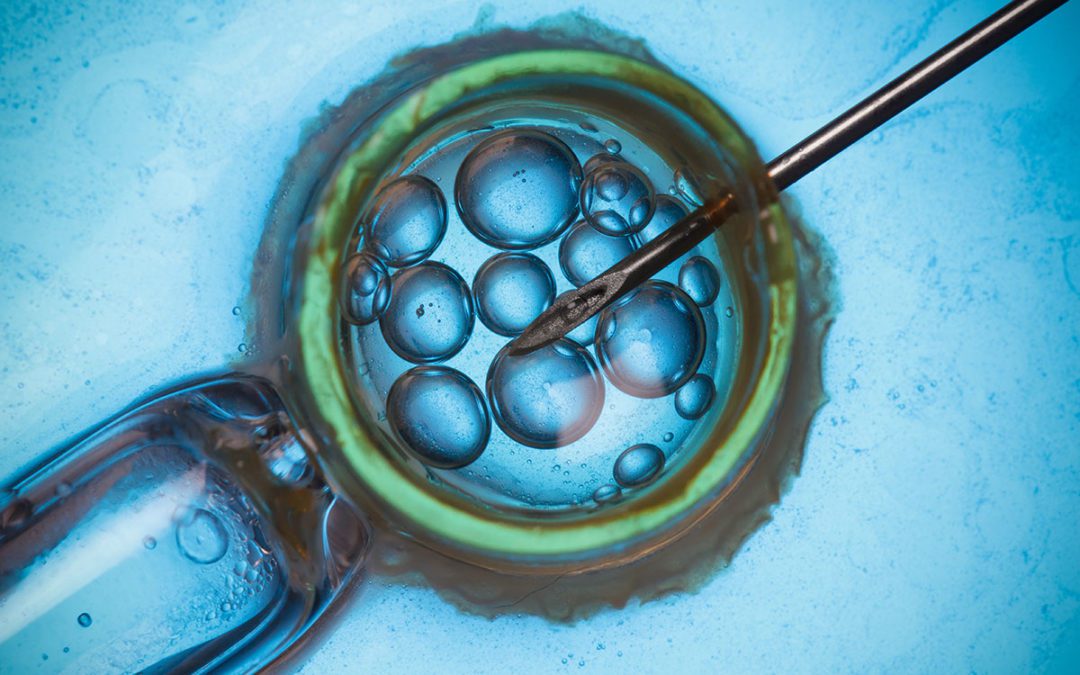 5 Reasons People Freeze and Store Embryos