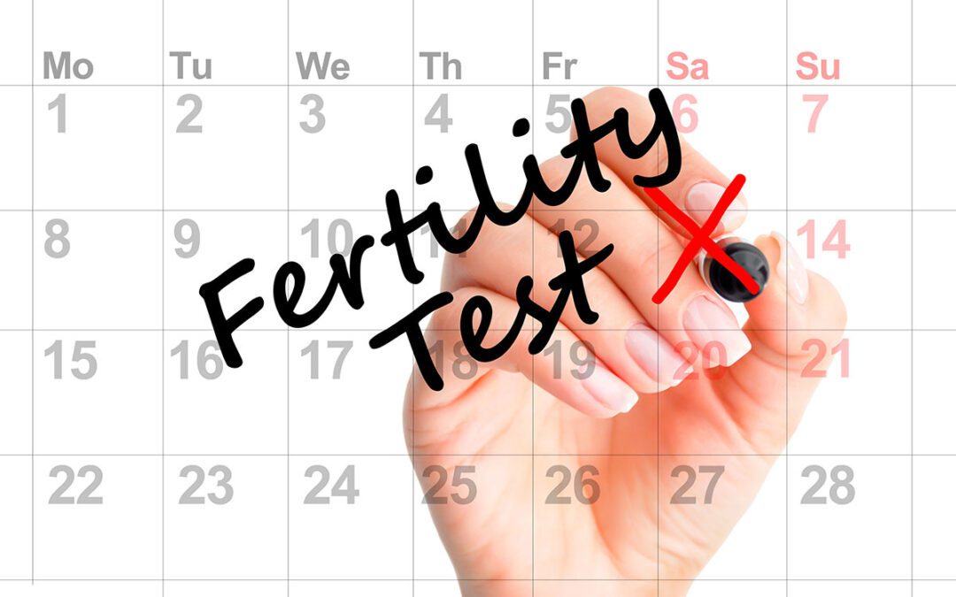 How Does Fertility Testing for Women Work?